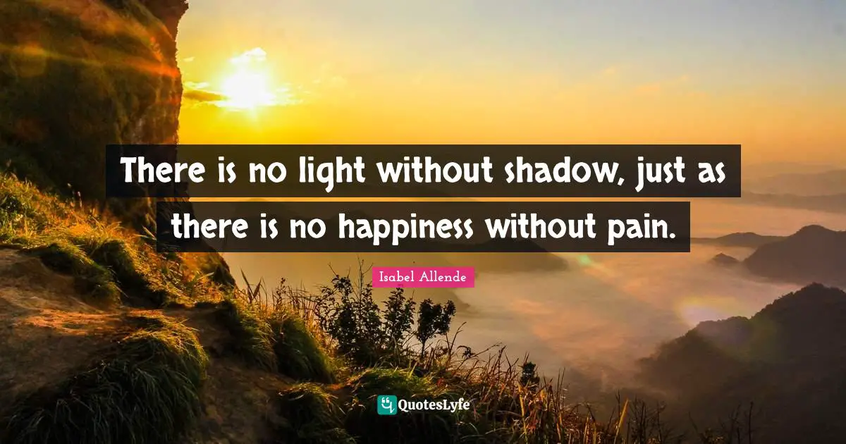 Pain Quotes: "There is no light without shadow, just as there is no happiness without pain."