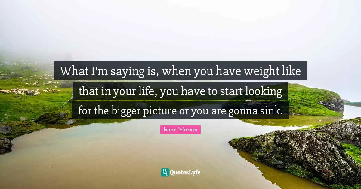 Bigger Picture Quotes: "What I'm saying is, when you have weight like that in your life, you have to start looking for the bigger picture or you are gonna sink."