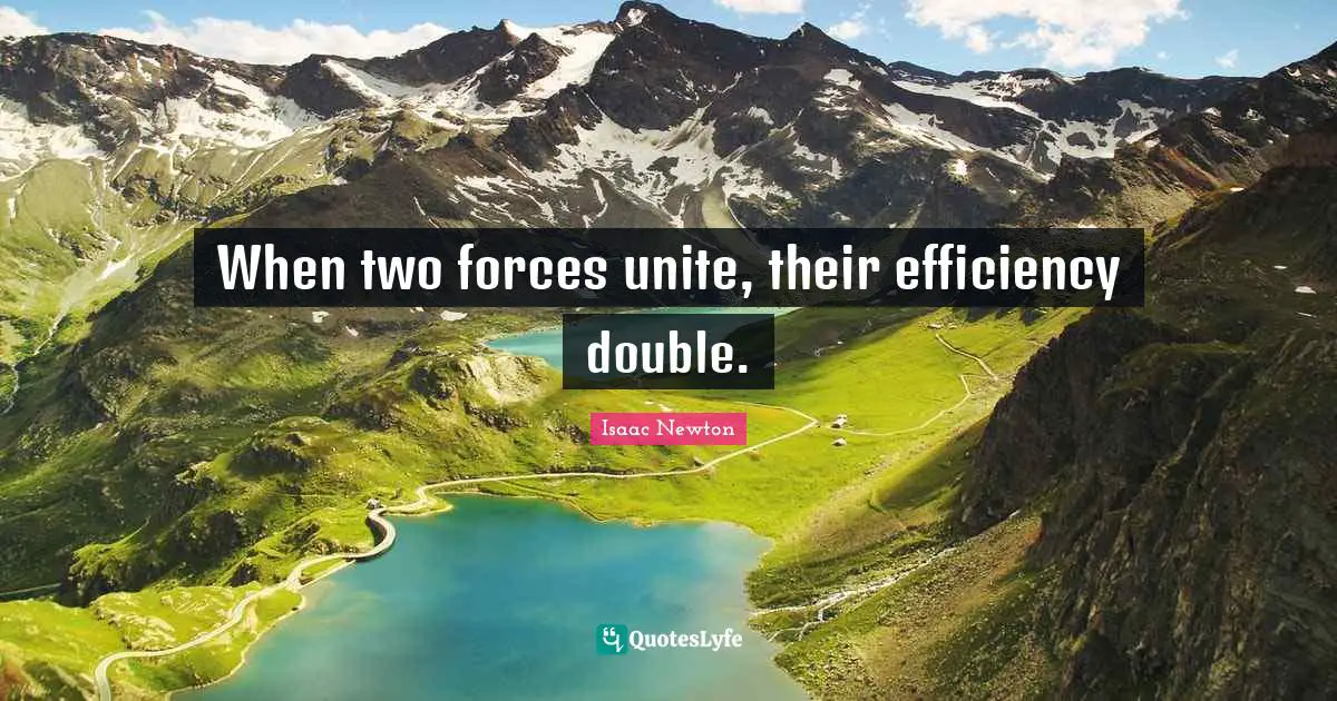 Efficiency Quotes: "When two forces unite, their efficiency double."