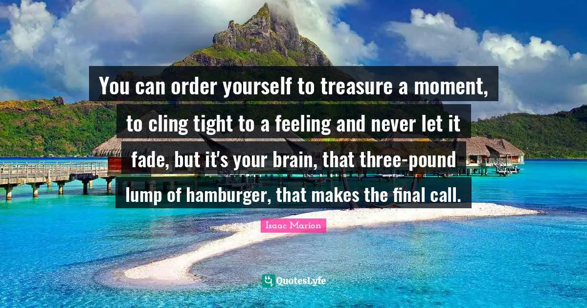 You can order yourself to treasure a moment, to cling tight to a feeling and never let it fade, but it's your brain, that three-pound lump of hamburger, that makes the final call.