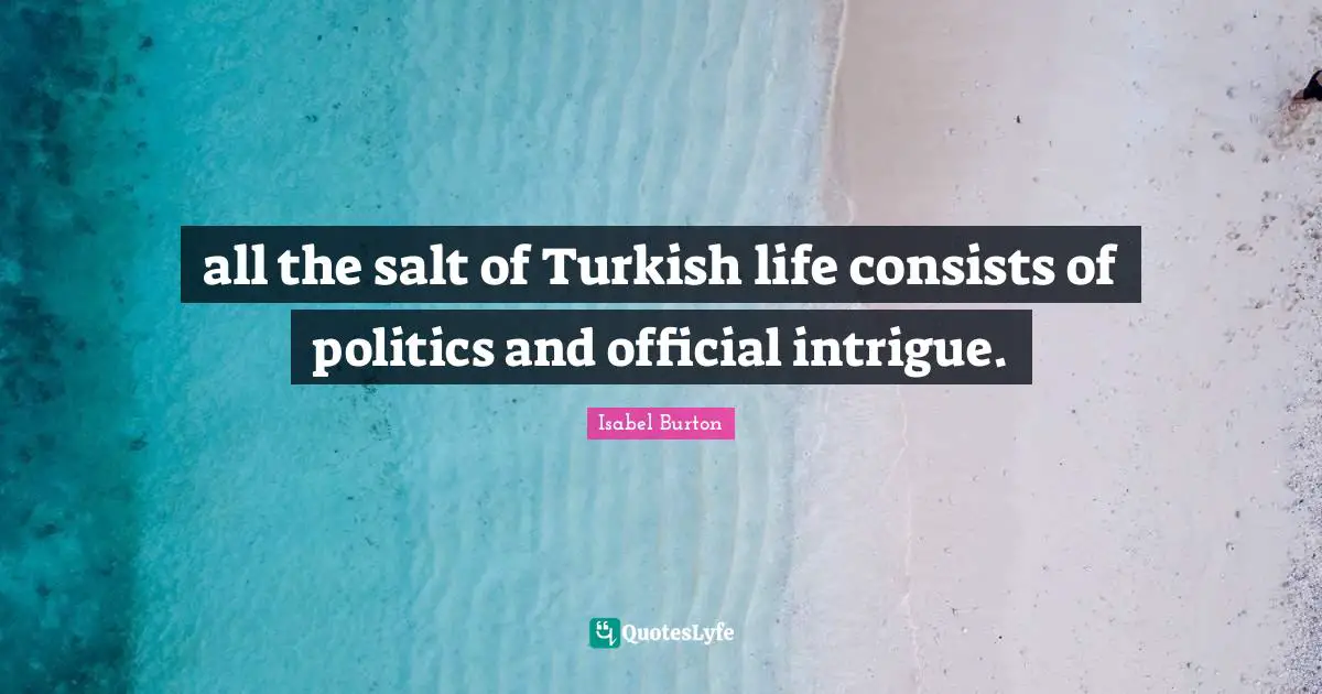 all the salt of Turkish life consists of politics and official intrigue.