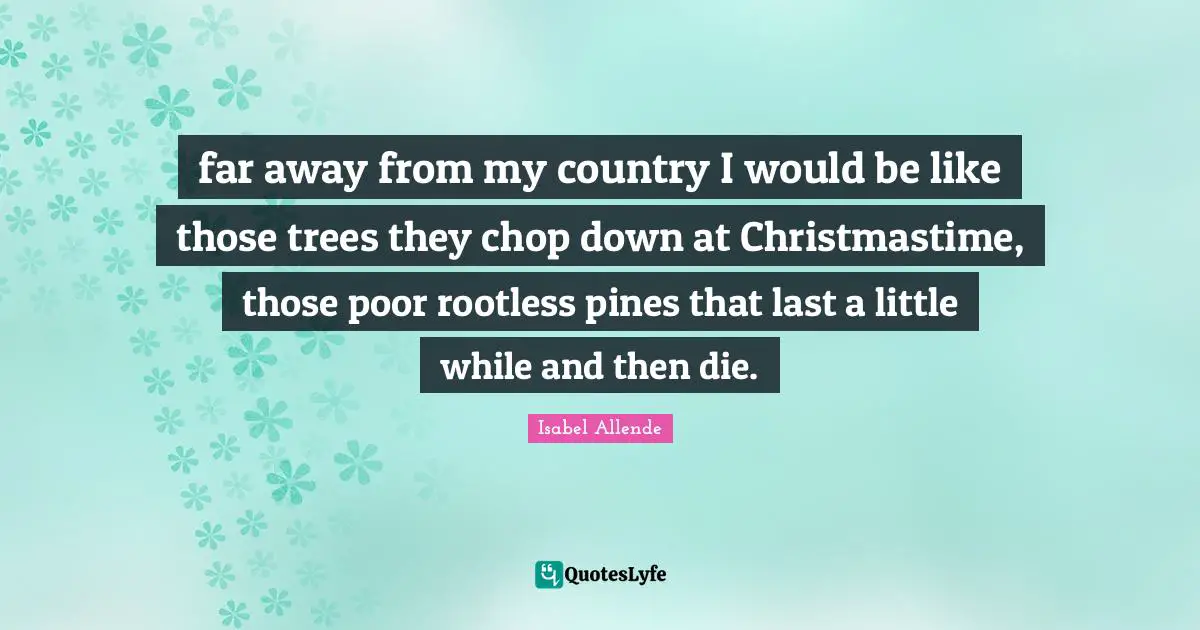 far away from my country I would be like those trees they chop down at Christmastime, those poor rootless pines that last a little while and then die.