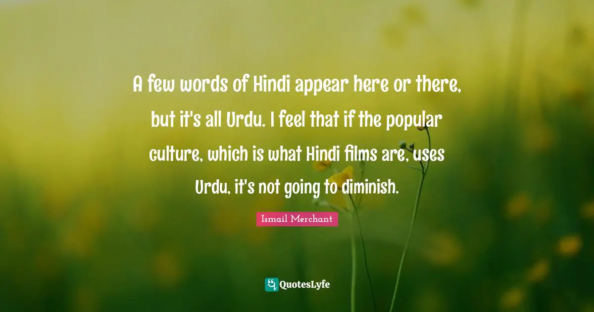 Diminish Quotes: "A few words of Hindi appear here or there, but it's all Urdu. I feel that if the popular culture, which is what Hindi films are, uses Urdu, it's not going to diminish."