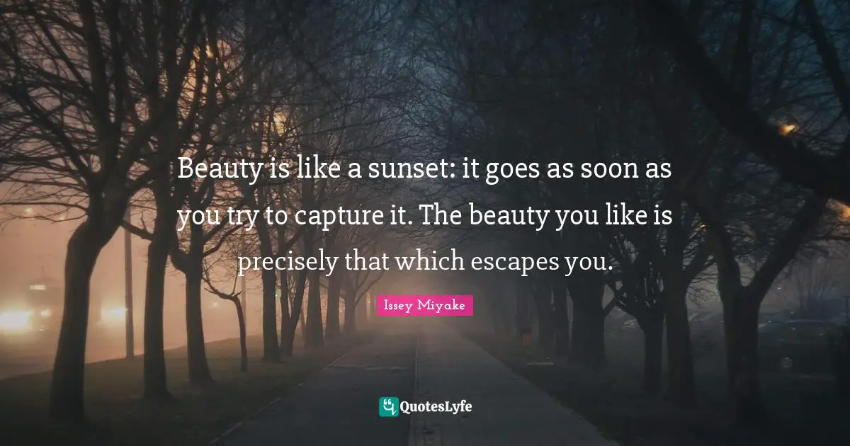 Sunset Quotes: "Beauty is like a sunset: it goes as soon as you try to capture it. The beauty you like is precisely that which escapes you."