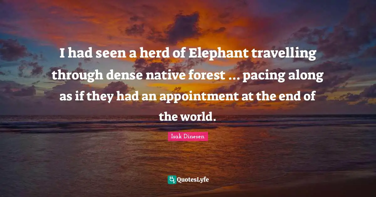 Isak Dinesen Quotes: "I had seen a herd of Elephant travelling through dense native forest ... pacing along as if they had an appointment at the end of the world."