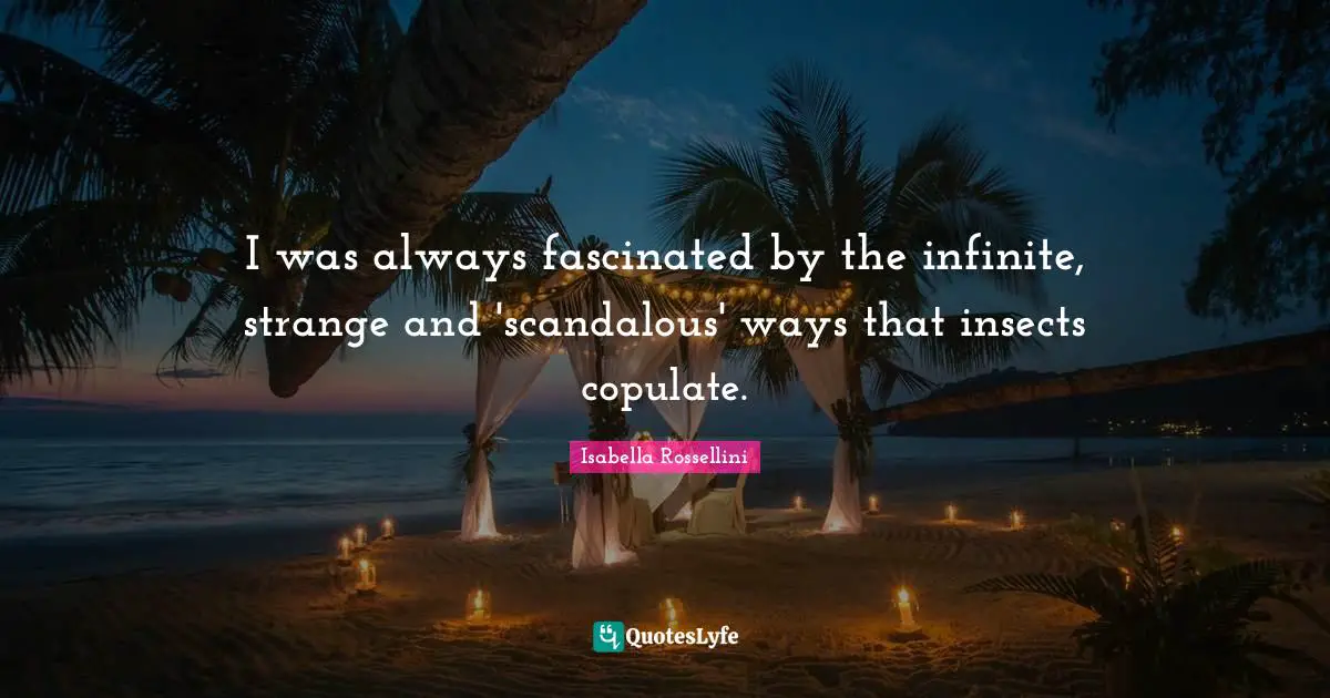 I was always fascinated by the infinite, strange and 'scandalous' ways that insects copulate.