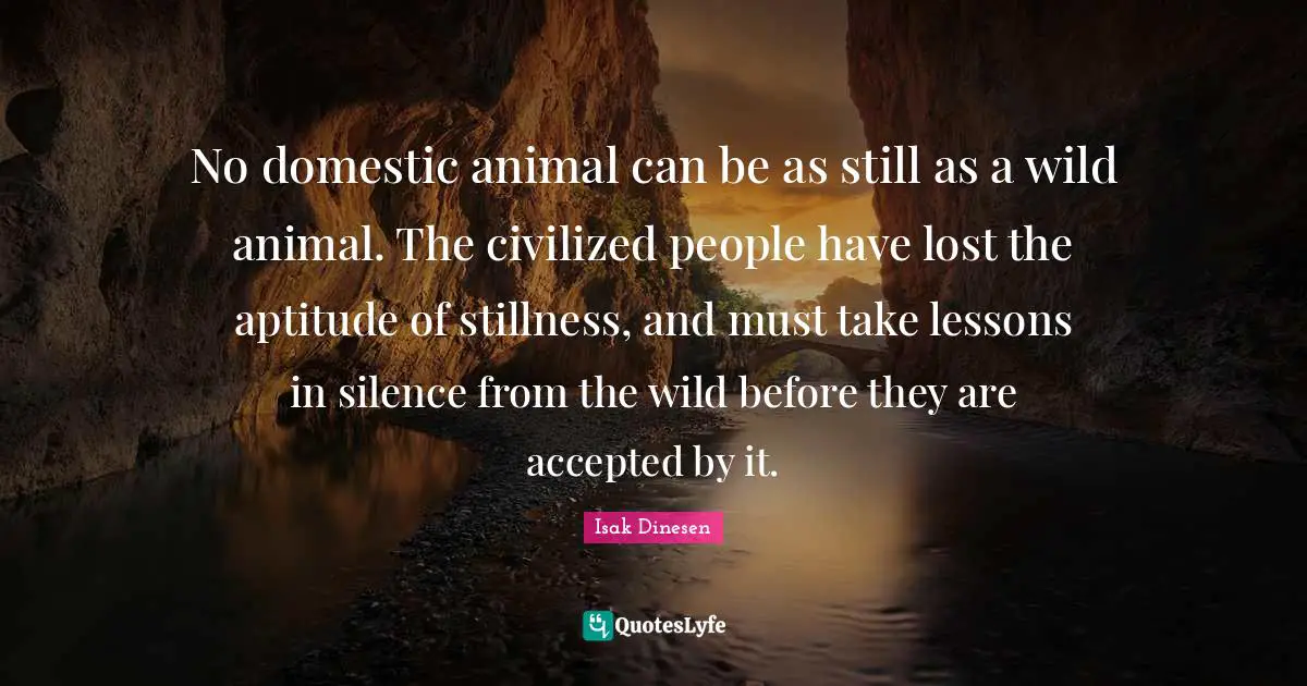 Isak Dinesen Quotes: "No domestic animal can be as still as a wild animal. The civilized people have lost the aptitude of stillness, and must take lessons in silence from the wild before they are accepted by it."