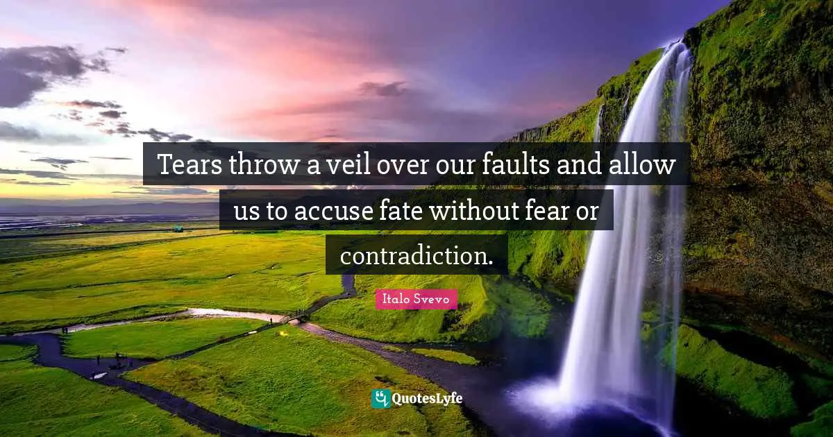 Tears throw a veil over our faults and allow us to accuse fate without fear or contradiction.