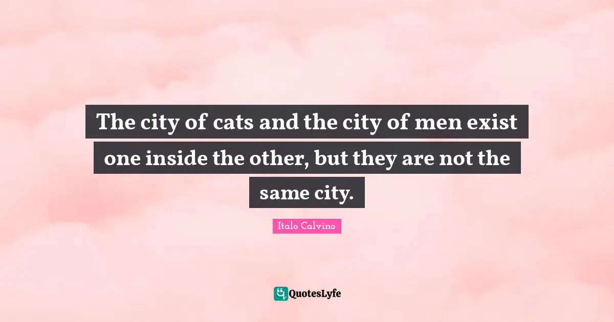 The city of cats and the city of men exist one inside the other, but they are not the same city.