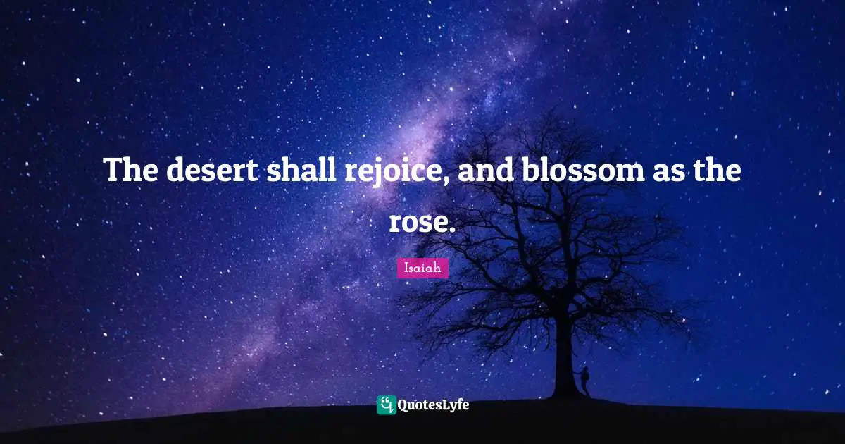 The desert shall rejoice, and blossom as the rose.