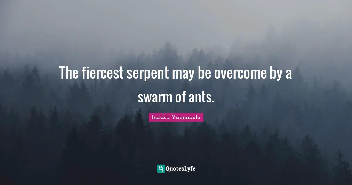 The fiercest serpent may be overcome by a swarm of ants.