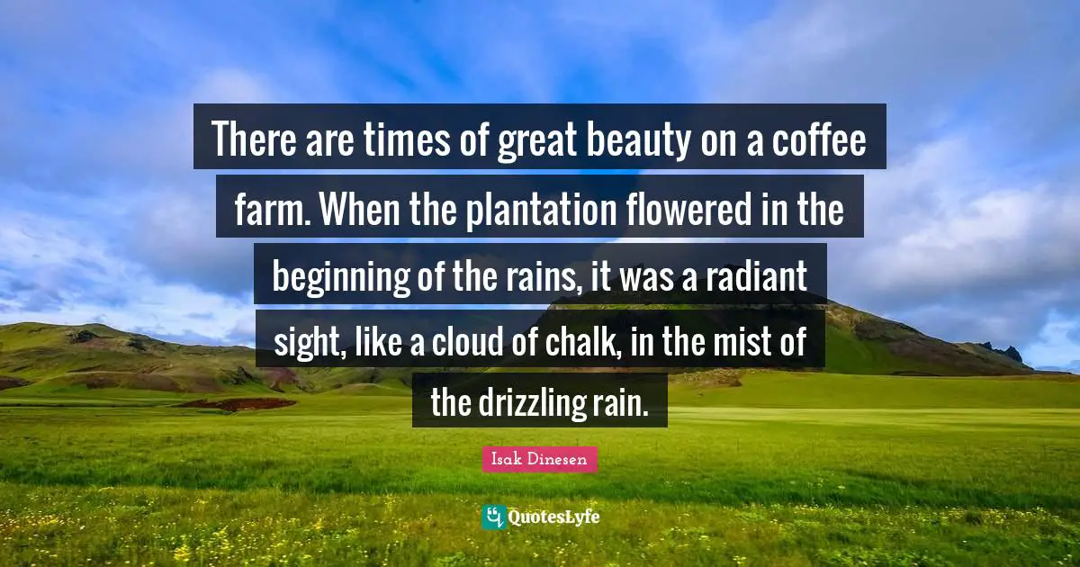 Isak Dinesen Quotes: "There are times of great beauty on a coffee farm. When the plantation flowered in the beginning of the rains, it was a radiant sight, like a cloud of chalk, in the mist of the drizzling rain."