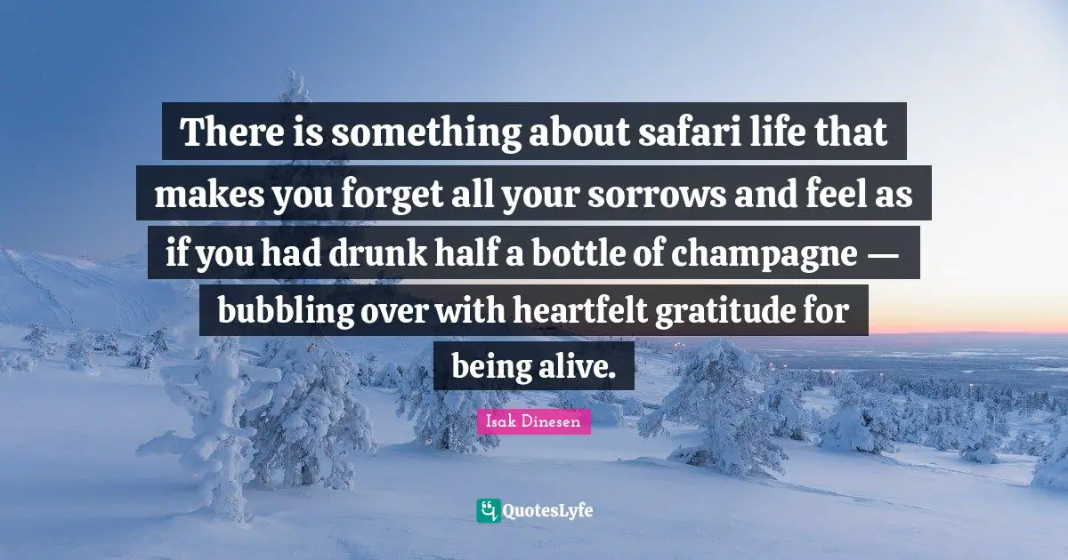 Isak Dinesen Quotes: "There is something about safari life that makes you forget all your sorrows and feel as if you had drunk half a bottle of champagne — bubbling over with heartfelt gratitude for being alive."