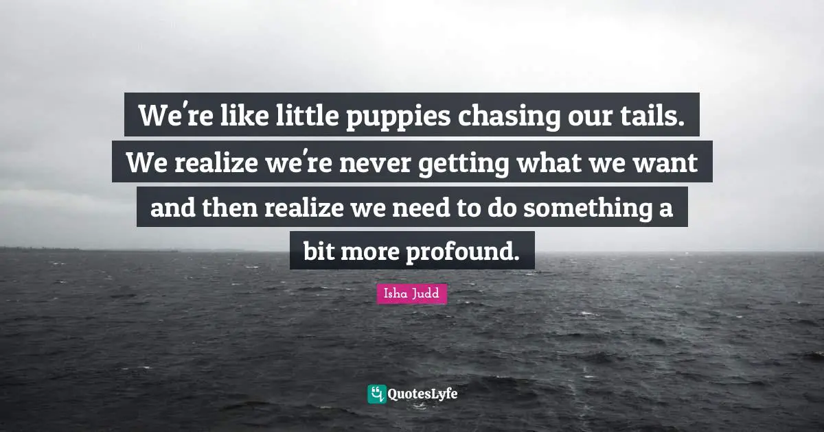 We're like little puppies chasing our tails. We realize we're never getting what we want and then realize we need to do something a bit more profound.