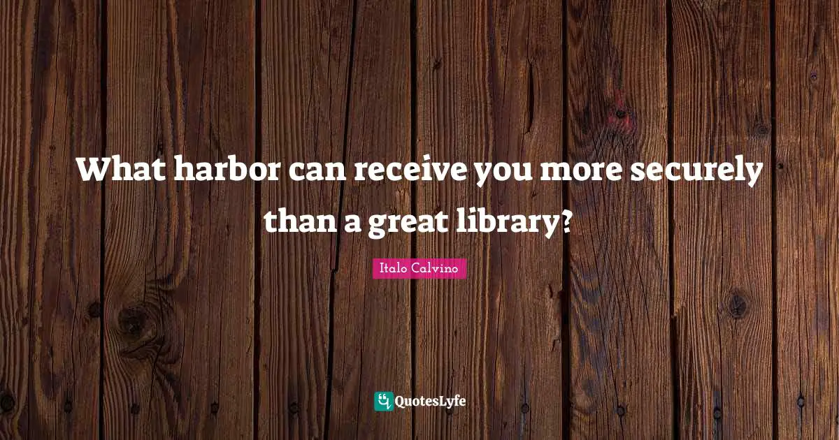 What harbor can receive you more securely than a great library?
