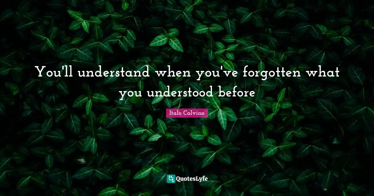 You'll understand when you've forgotten what you understood before