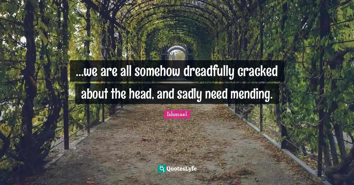 ...we are all somehow dreadfully cracked about the head, and sadly need mending.