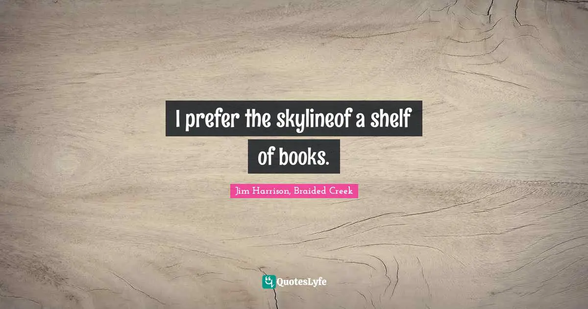 I prefer the skylineof a shelf of books.