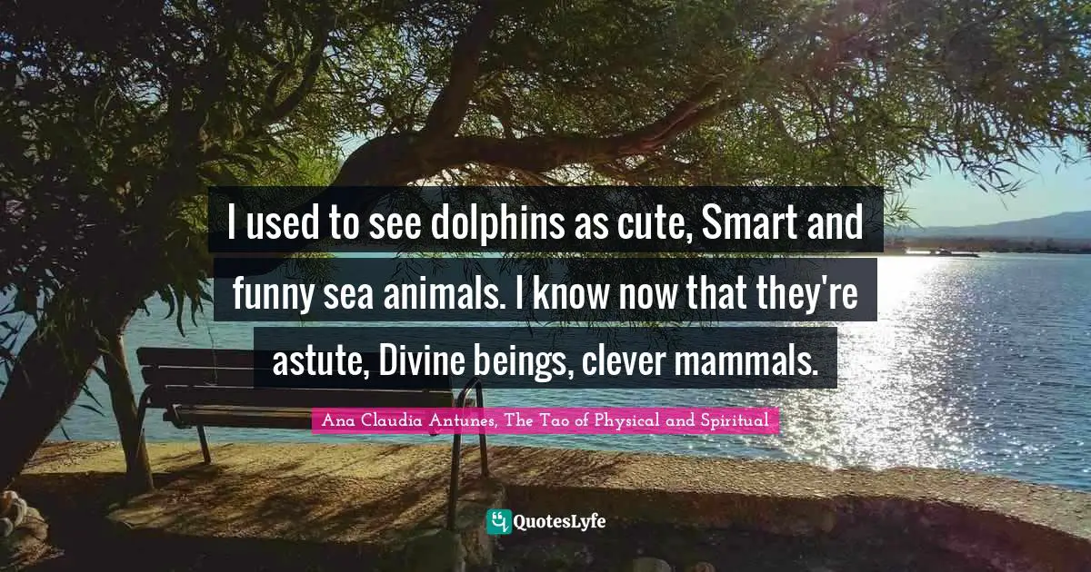 I used to see dolphins as cute, Smart and funny sea animals. I know now that they're astute, Divine beings, clever mammals.