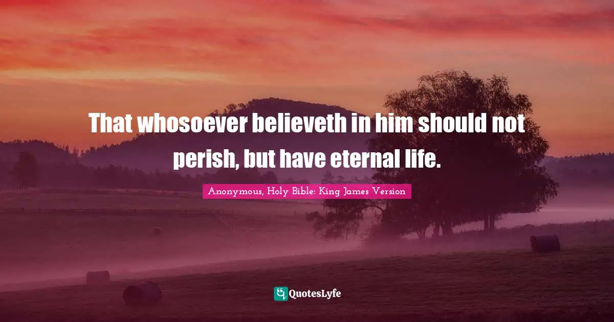 That whosoever believeth in him should not perish, but have eternal life.