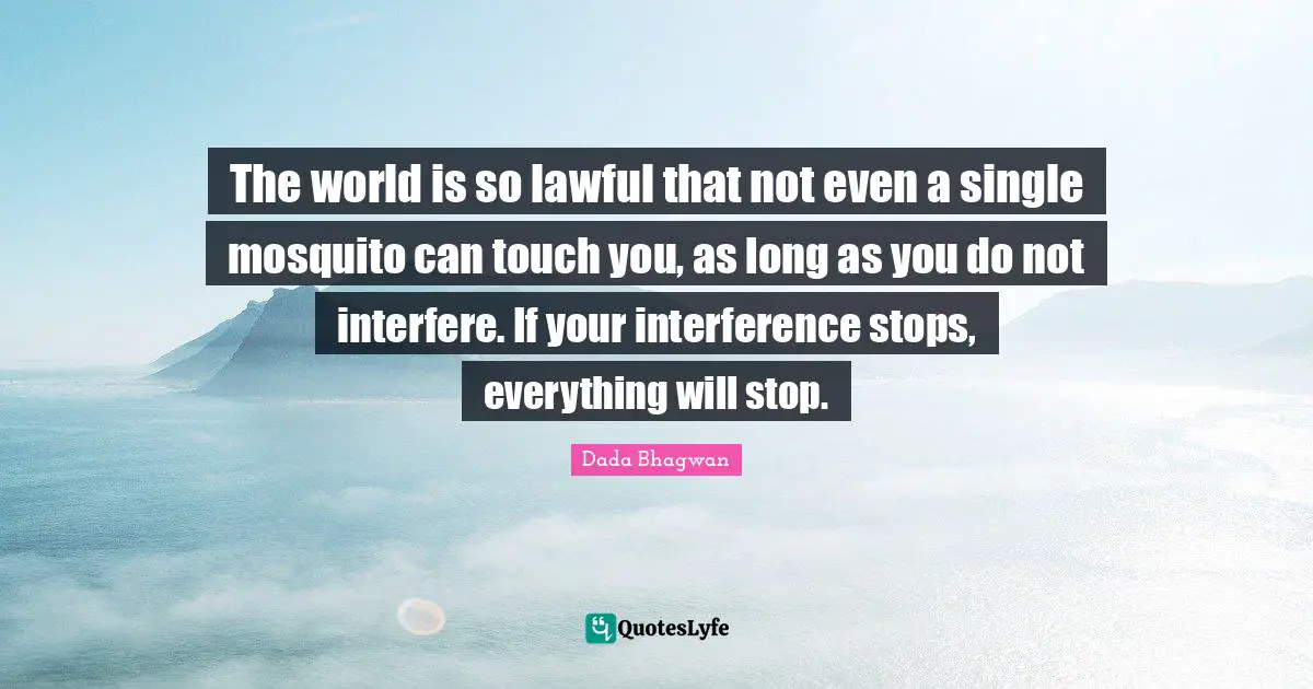 The world is so lawful that not even a single mosquito can touch you, as long as you do not interfere. If your interference stops, everything will stop.