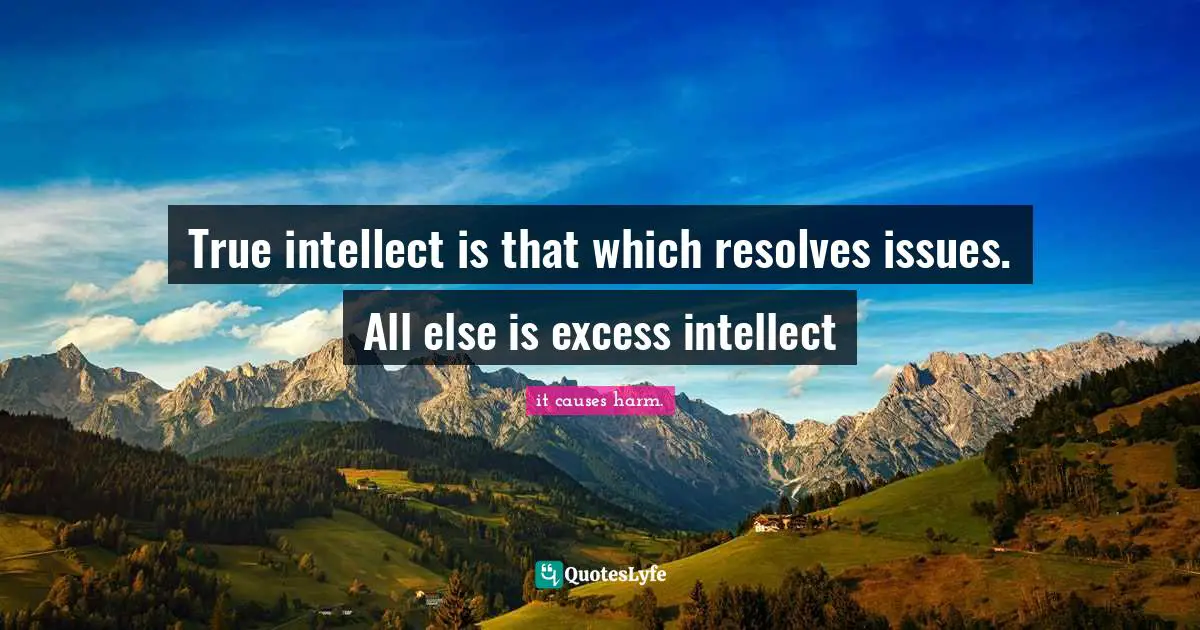 True intellect is that which resolves issues. All else is excess intellect