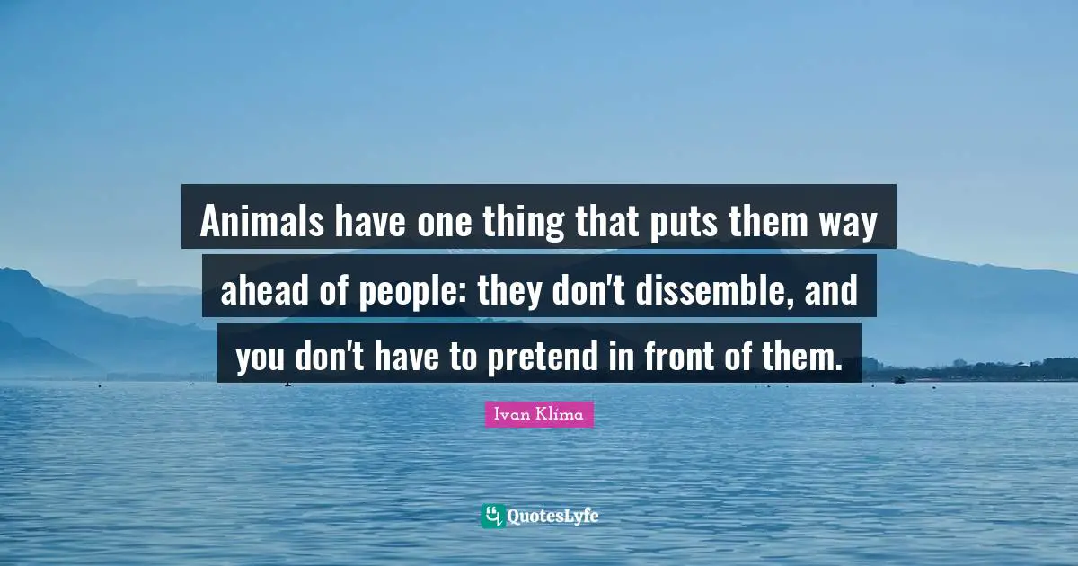 Animals have one thing that puts them way ahead of people: they don't dissemble, and you don't have to pretend in front of them.