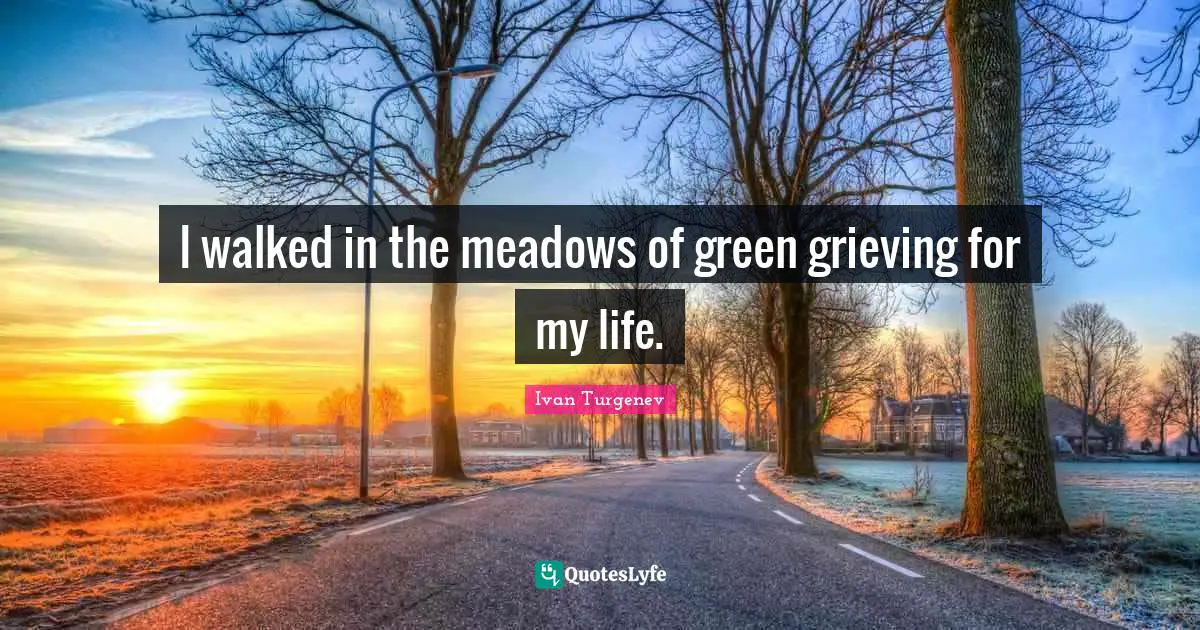 I walked in the meadows of green grieving for my life.