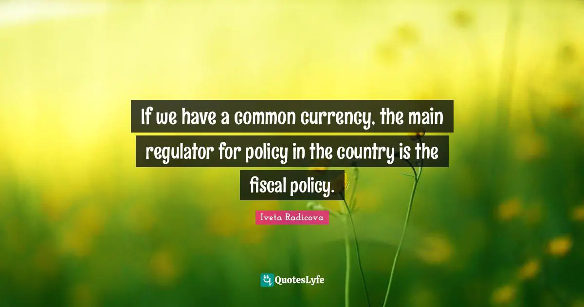 If we have a common currency, the main regulator for policy in the country is the fiscal policy.