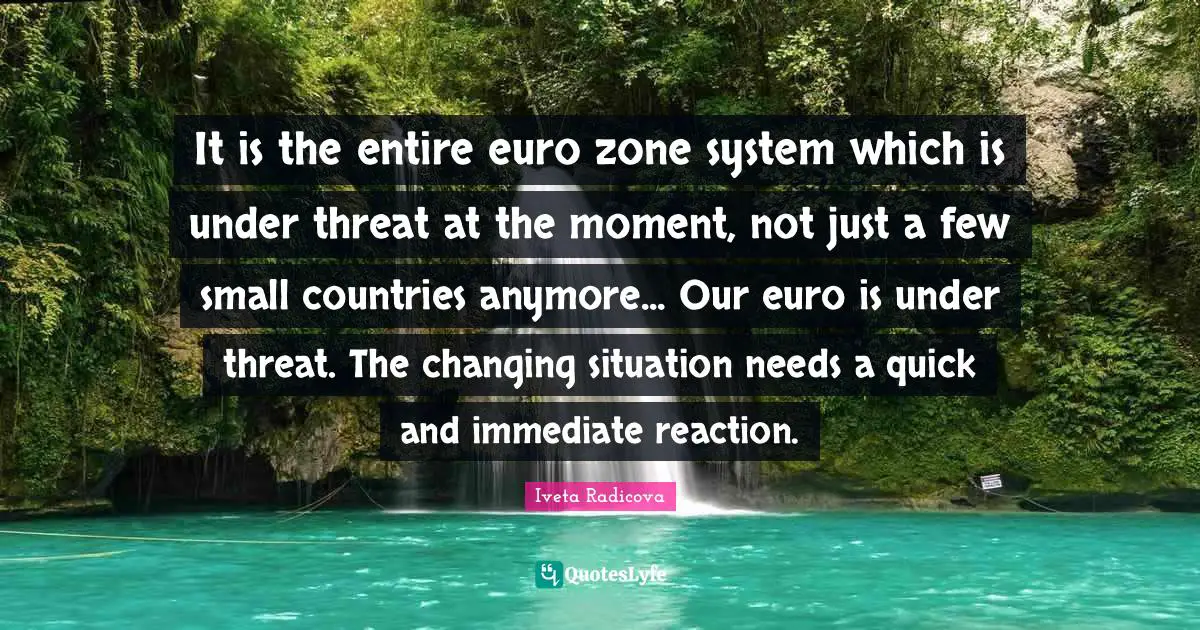 It is the entire euro zone system which is under threat at the moment, not just a few small countries anymore... Our euro is under threat. The changing situation needs a quick and immediate reaction.