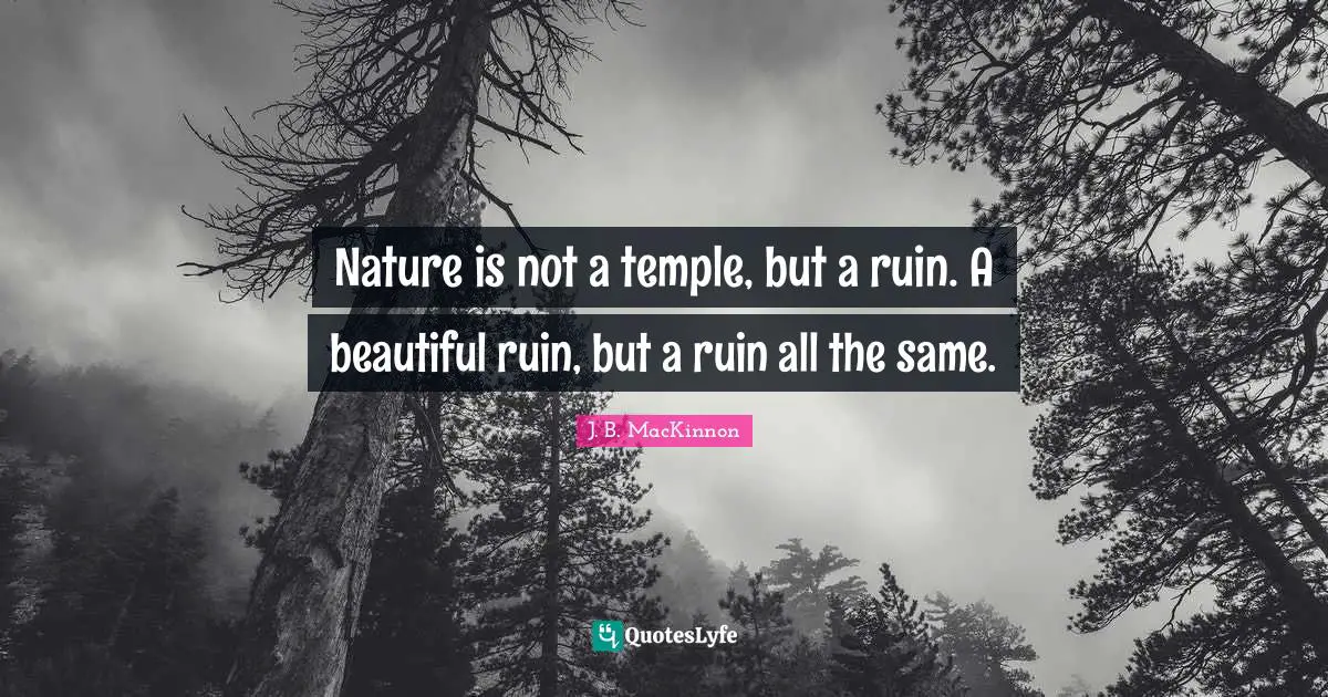 Nature is not a temple, but a ruin. A beautiful ruin, but a ruin all the same.
