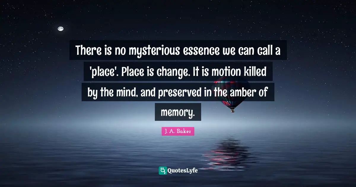 There is no mysterious essence we can call a 'place'. Place is change. It is motion killed by the mind, and preserved in the amber of memory.