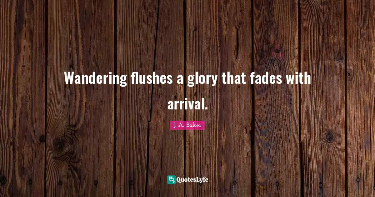 Wandering flushes a glory that fades with arrival.