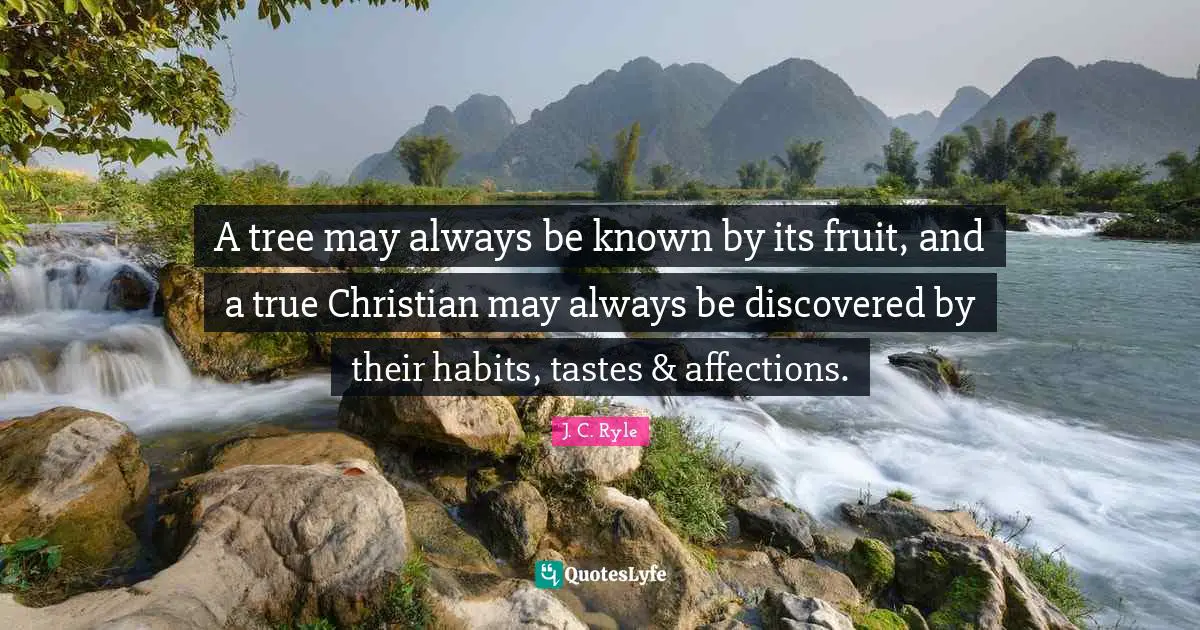 A tree may always be known by its fruit, and a true Christian may always be discovered by their habits, tastes & affections.