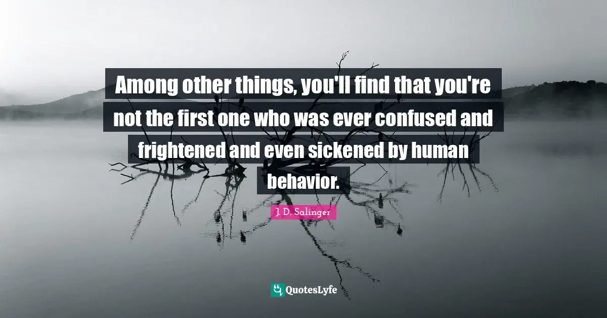 Among other things, you'll find that you're not the first one who was ever confused and frightened and even sickened by human behavior.