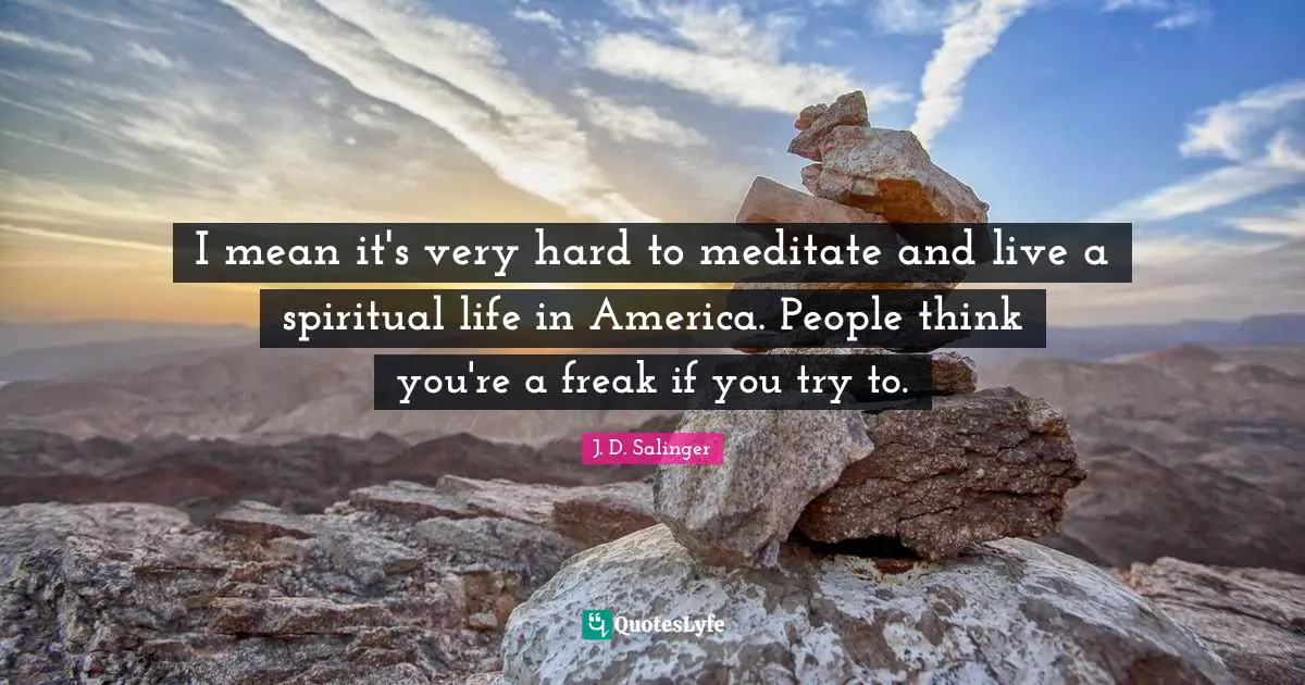 I mean it's very hard to meditate and live a spiritual life in America. People think you're a freak if you try to.
