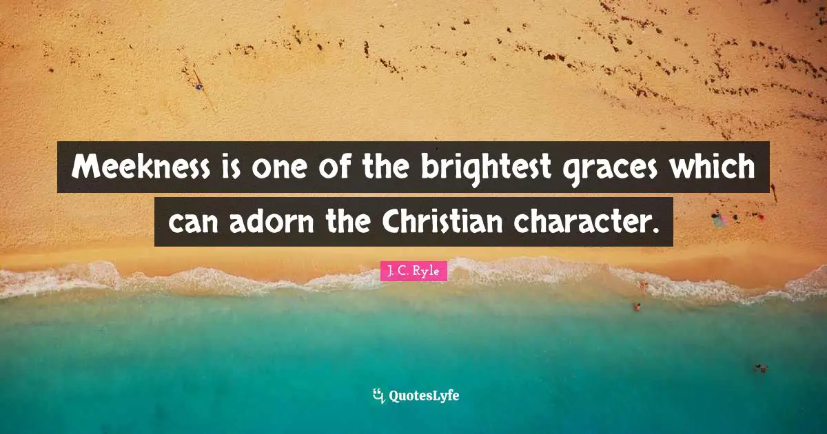 Meekness is one of the brightest graces which can adorn the Christian character.