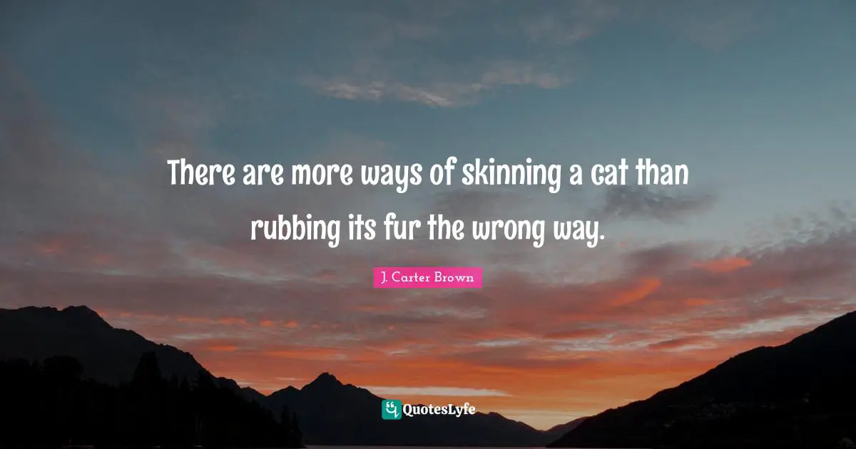 There are more ways of skinning a cat than rubbing its fur the wrong way.
