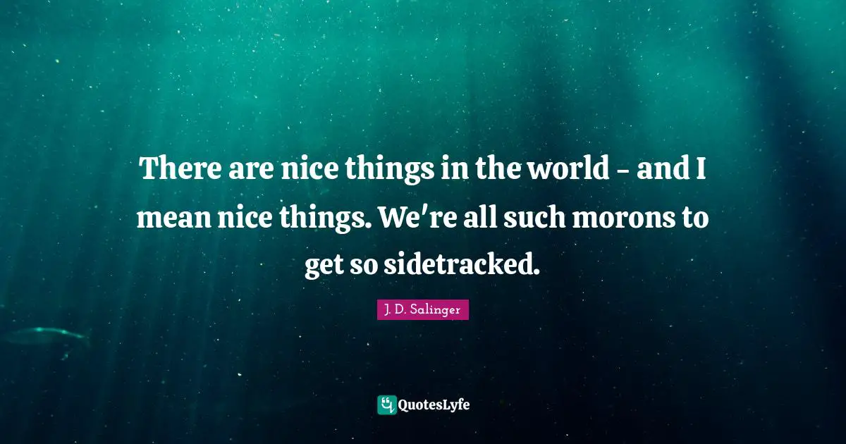 There are nice things in the world - and I mean nice things. We're all such morons to get so sidetracked.