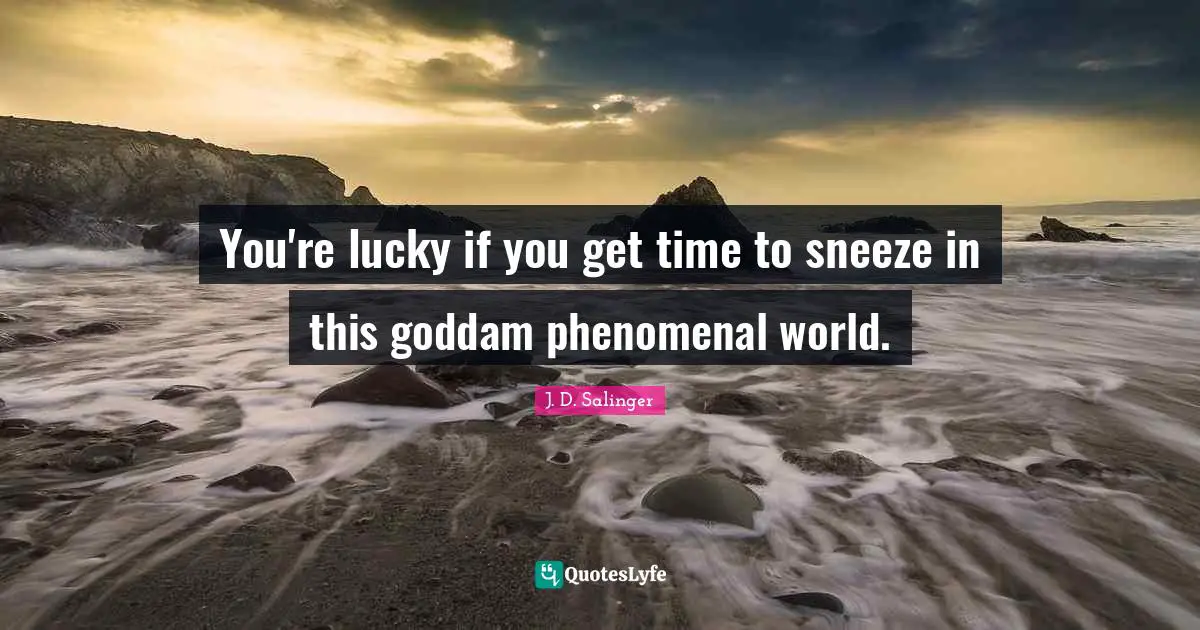You're lucky if you get time to sneeze in this goddam phenomenal world.