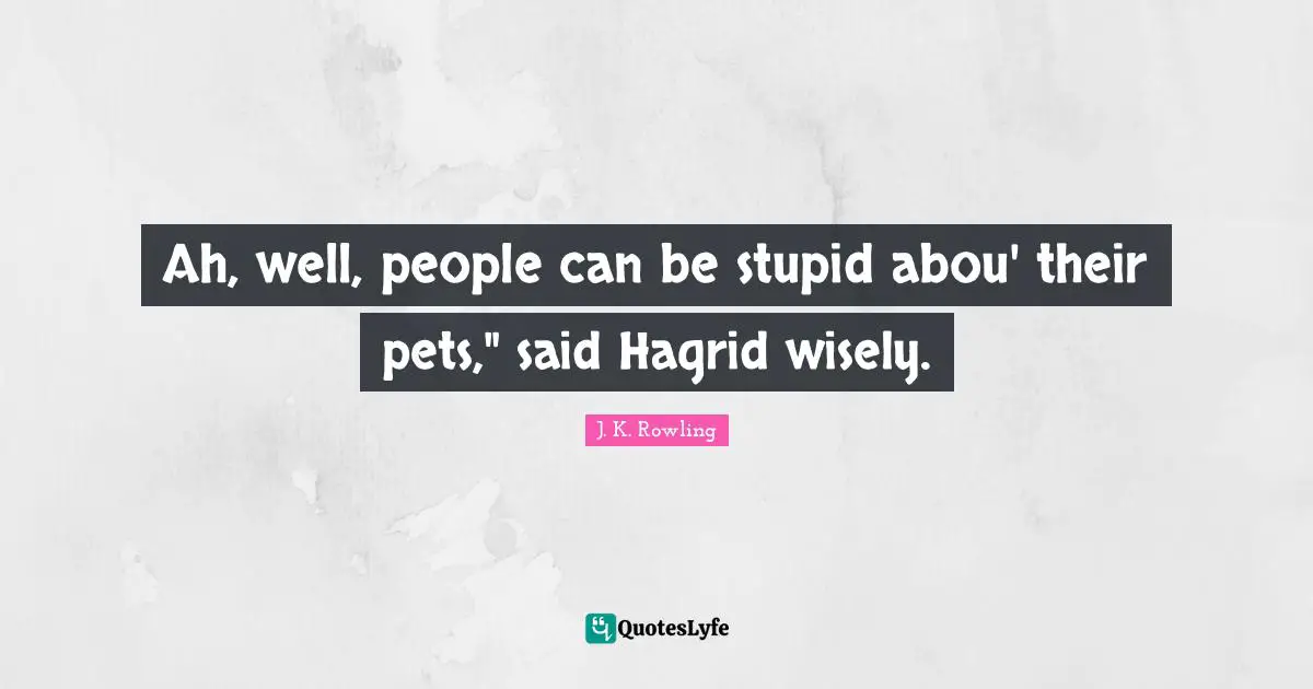 Ah, well, people can be stupid abou' their pets," said Hagrid wisely.
