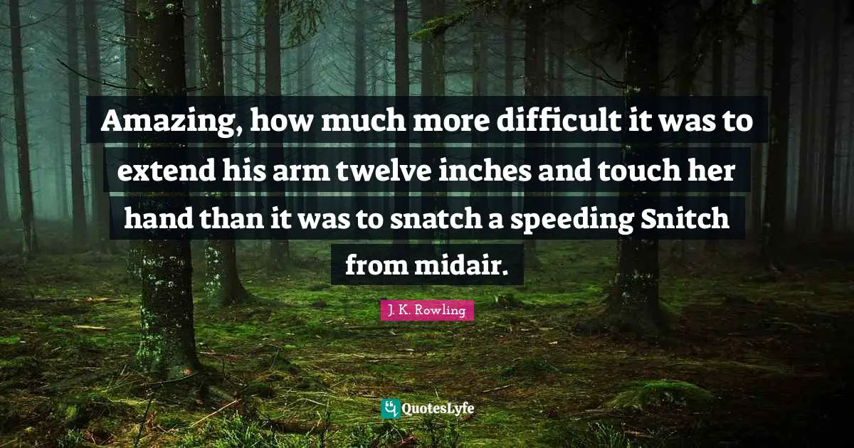 Amazing, how much more difficult it was to extend his arm twelve inches and touch her hand than it was to snatch a speeding Snitch from midair.
