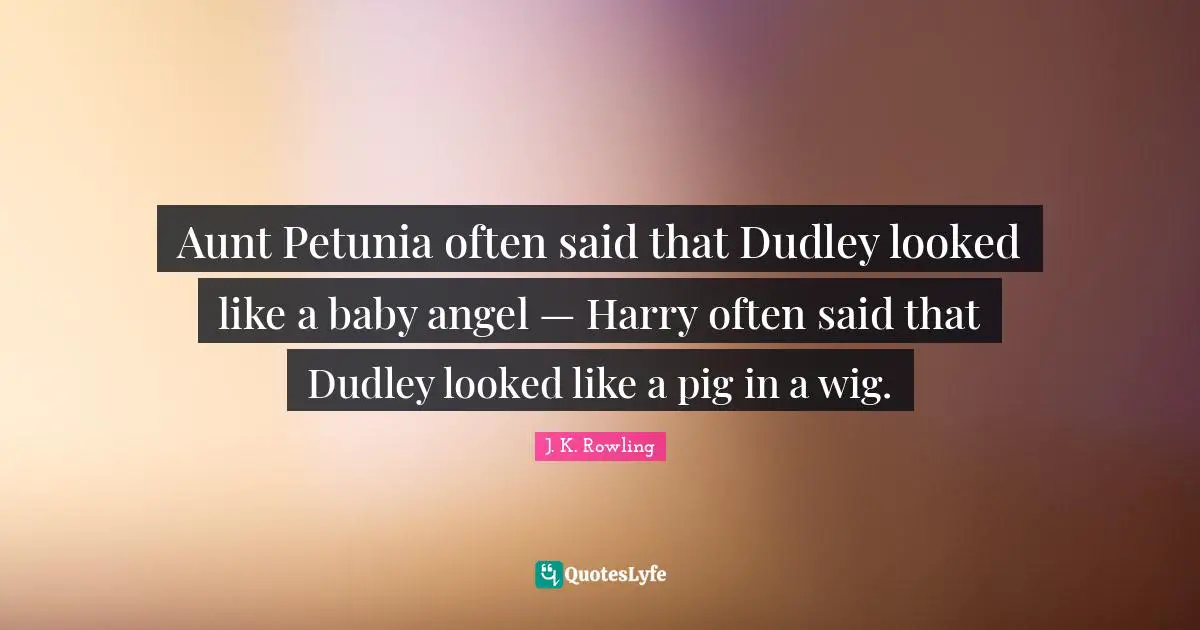 Aunt Petunia often said that Dudley looked like a baby angel — Harry often said that Dudley looked like a pig in a wig.