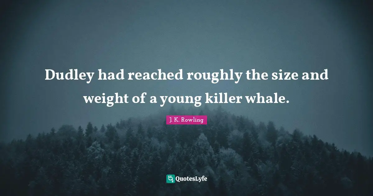 Dudley had reached roughly the size and weight of a young killer whale.