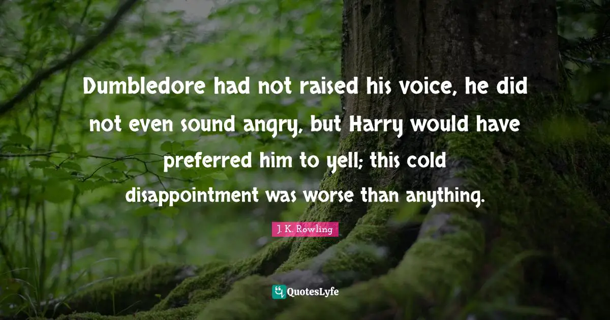 Dumbledore had not raised his voice, he did not even sound angry, but Harry would have preferred him to yell; this cold disappointment was worse than anything.