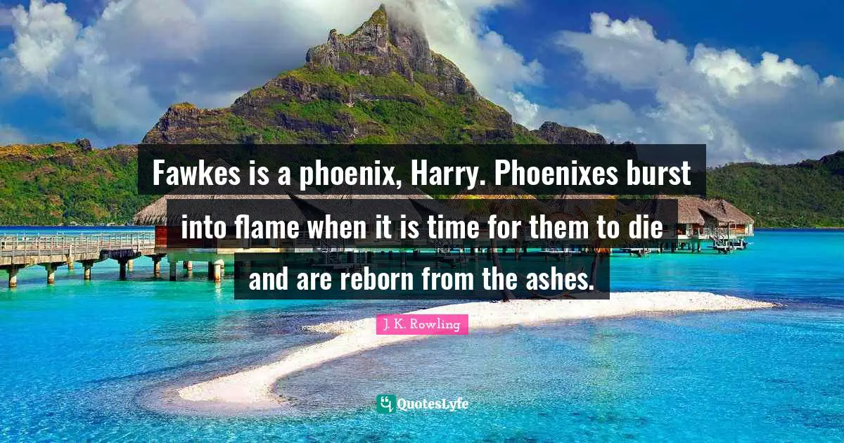 Fawkes is a phoenix, Harry. Phoenixes burst into flame when it is time for them to die and are reborn from the ashes.