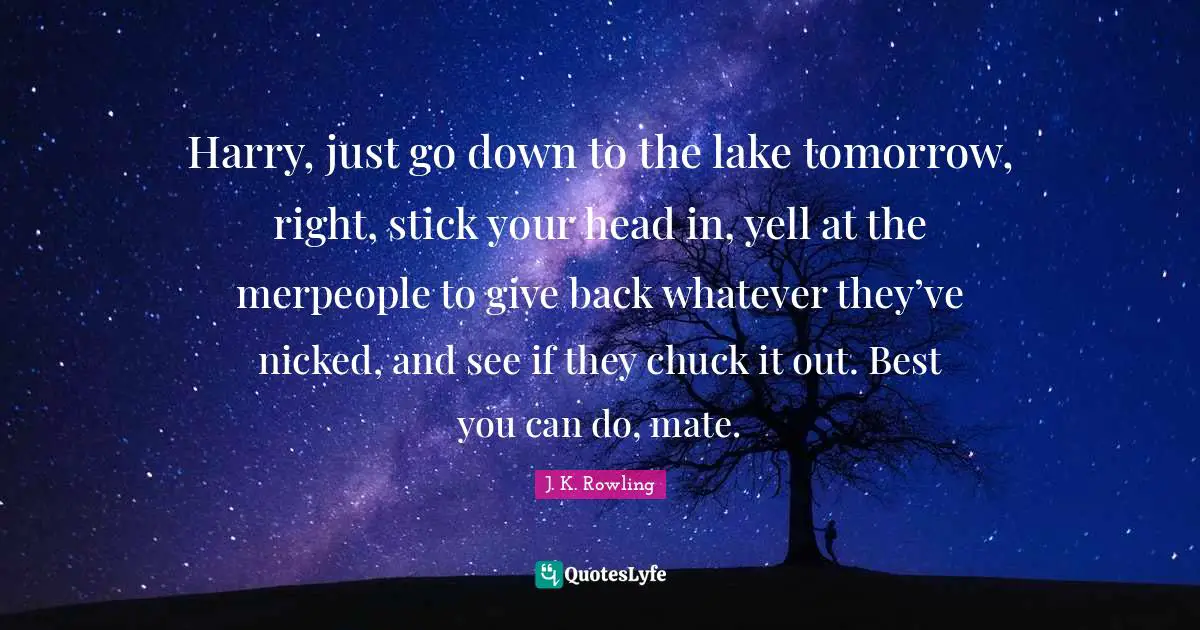 Harry, just go down to the lake tomorrow, right, stick your head in, yell at the merpeople to give back whatever they’ve nicked, and see if they chuck it out. Best you can do, mate.