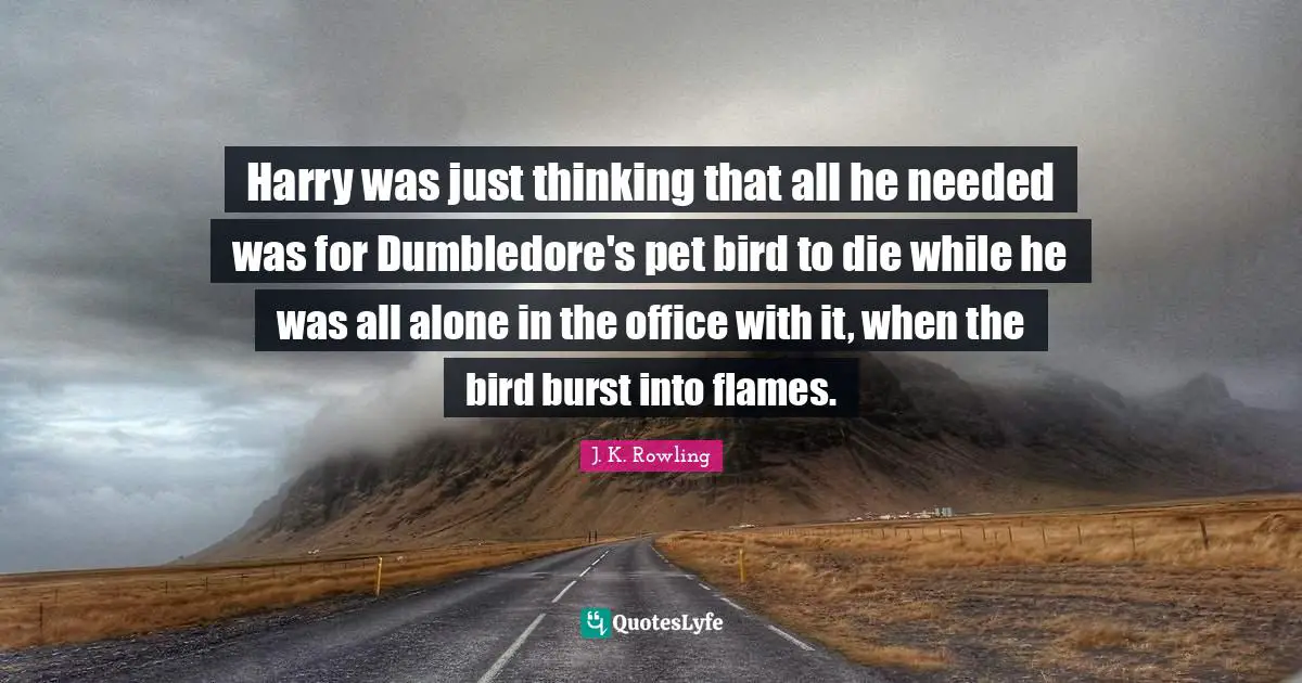 Harry was just thinking that all he needed was for Dumbledore's pet bird to die while he was all alone in the office with it, when the bird burst into flames.