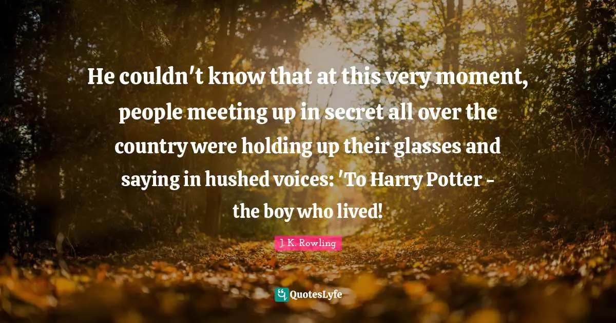 He couldn't know that at this very moment, people meeting up in secret all over the country were holding up their glasses and saying in hushed voices: 'To Harry Potter - the boy who lived!