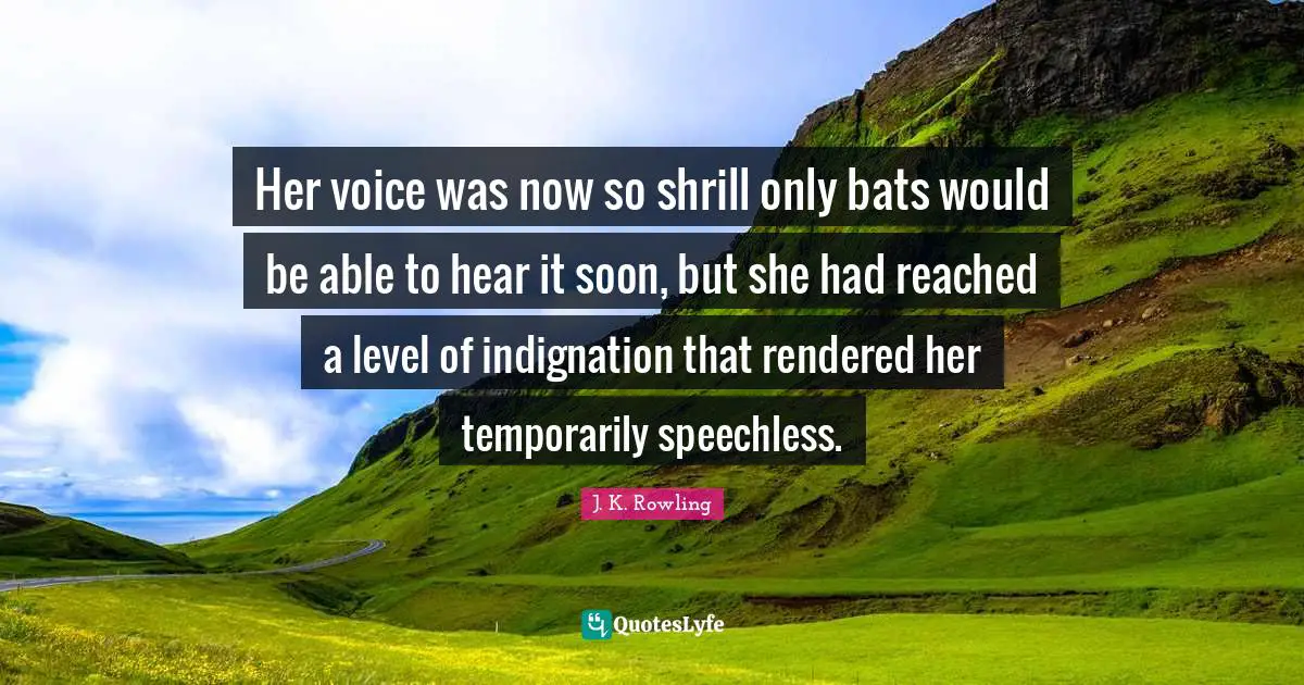 Her voice was now so shrill only bats would be able to hear it soon, but she had reached a level of indignation that rendered her temporarily speechless.
